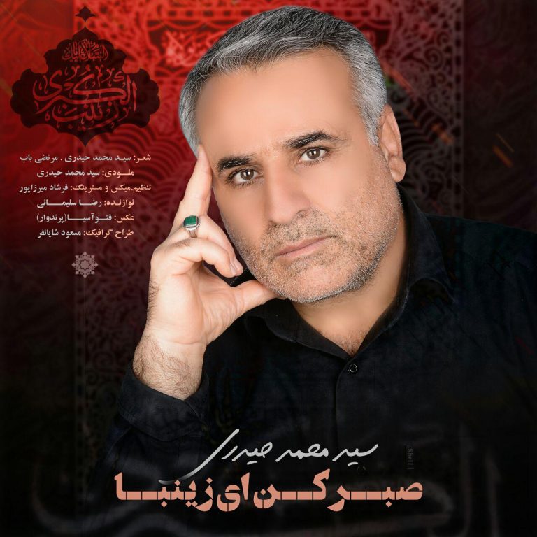 دانلود آهنگ صبر کن ای زینبا سید محمد حیدری